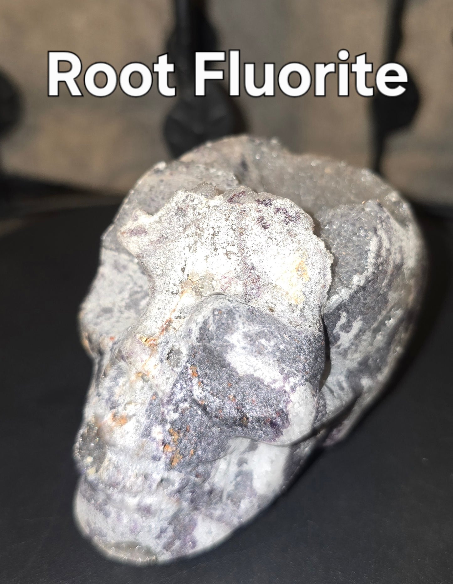 S0064 Root Fluorite Skull