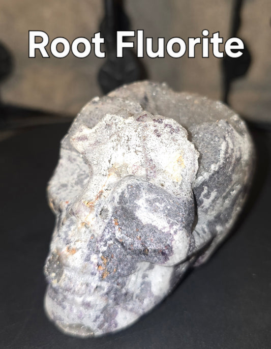 S0064 Root Fluorite Skull