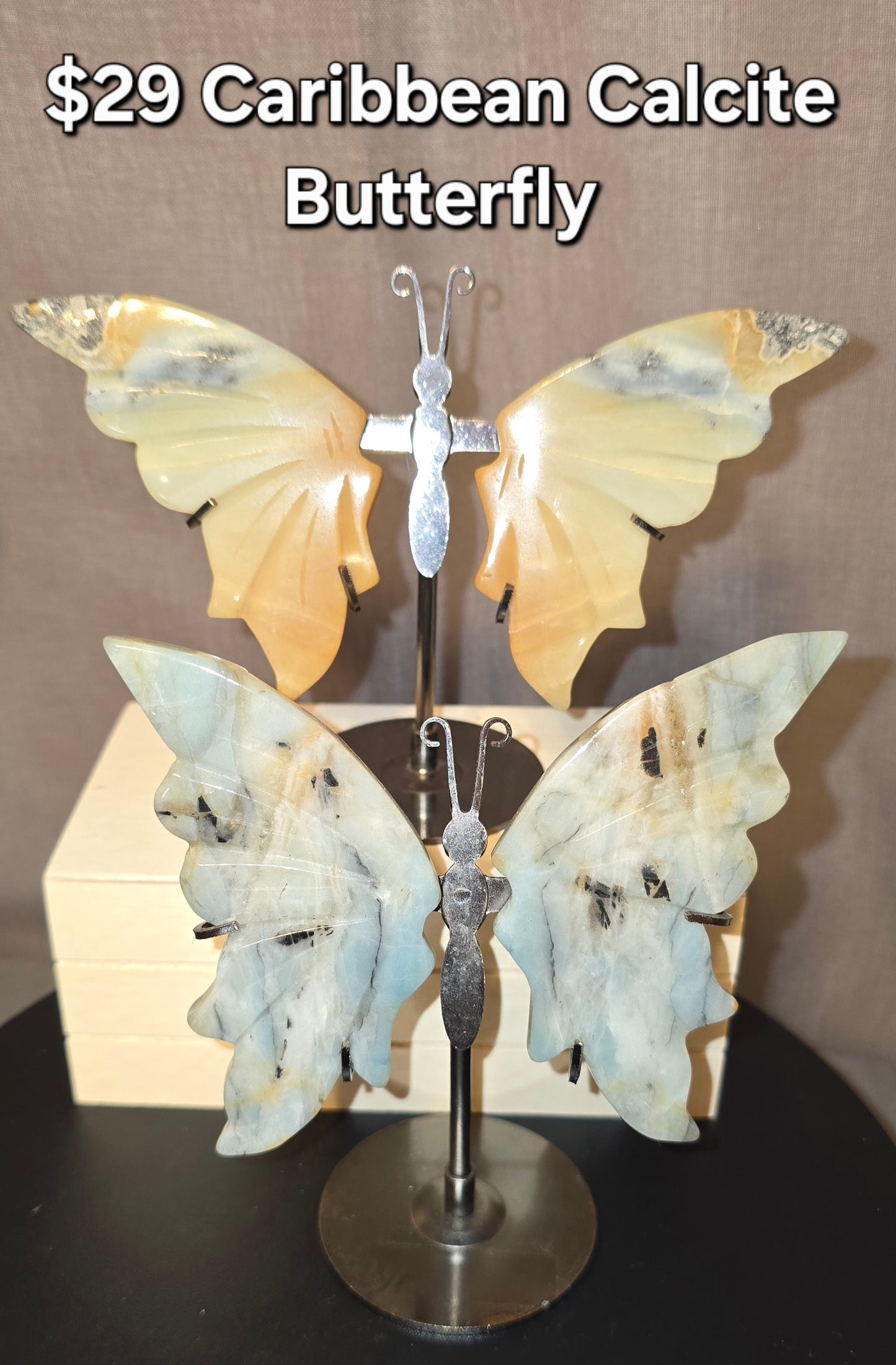 Caribbean Calcite Butterfly