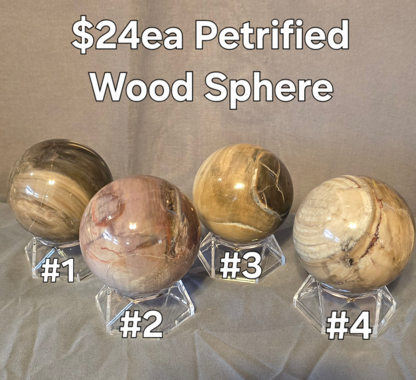 S0355 Petrified Wood Sphere