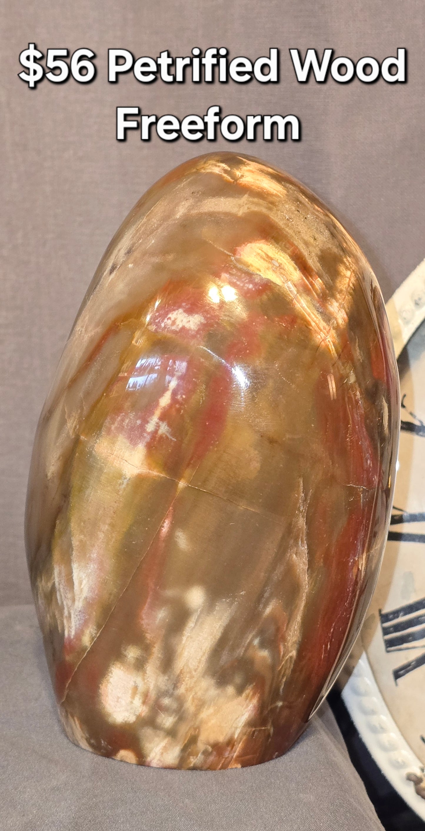 Petrified Wood Freeform