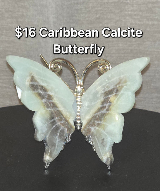 Caribbean Calcite Butterfly