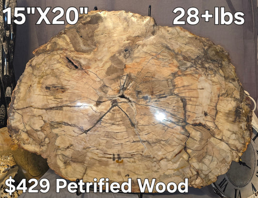 S0319 Petrified Wood Slab