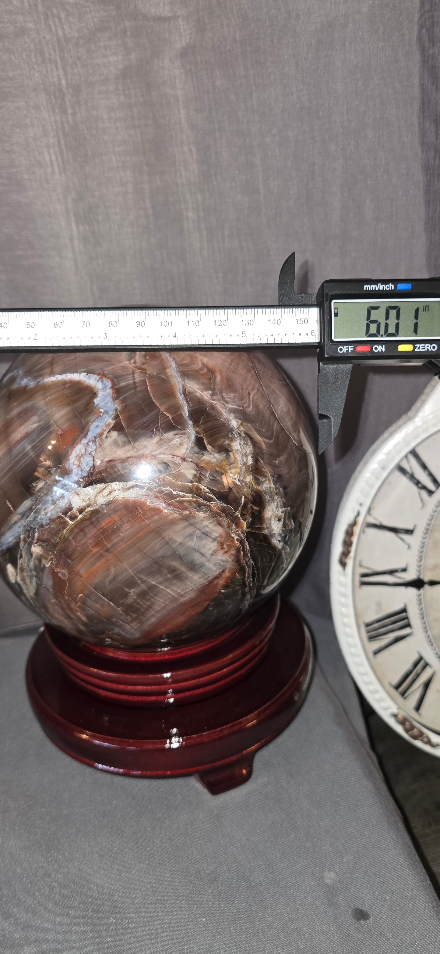 Petrified Wood 6" Sphere