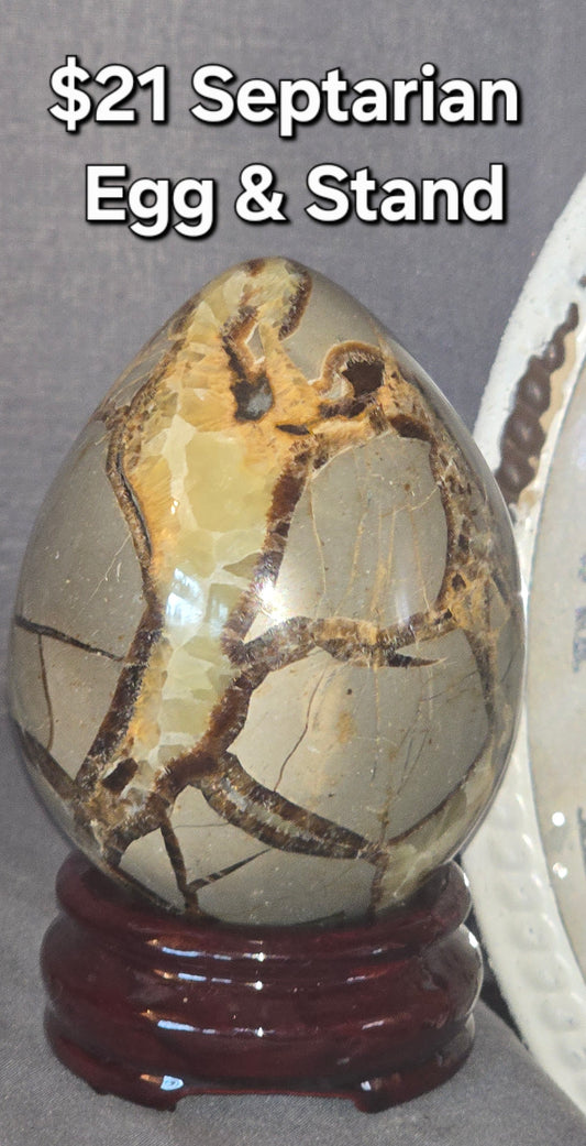 Septarian Egg & Stand