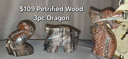 Petrified Wood 3pc Dragon