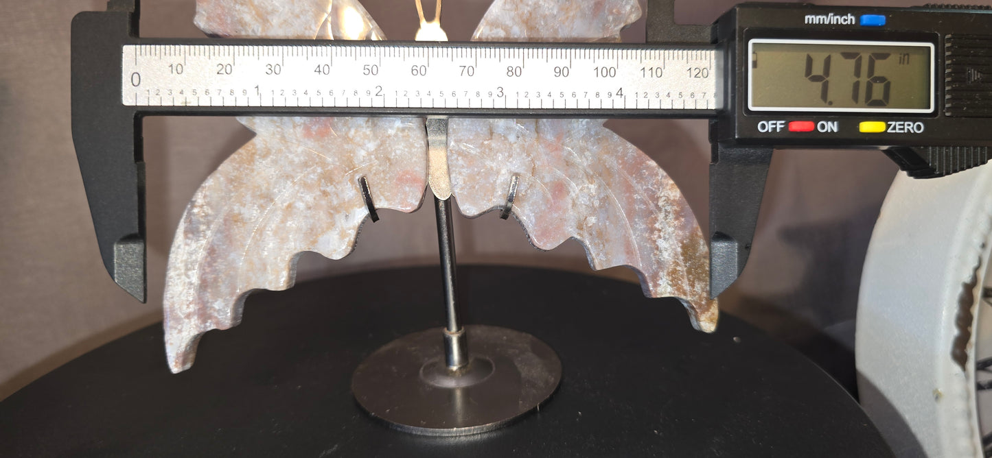 Ocean Jasper Butterfly