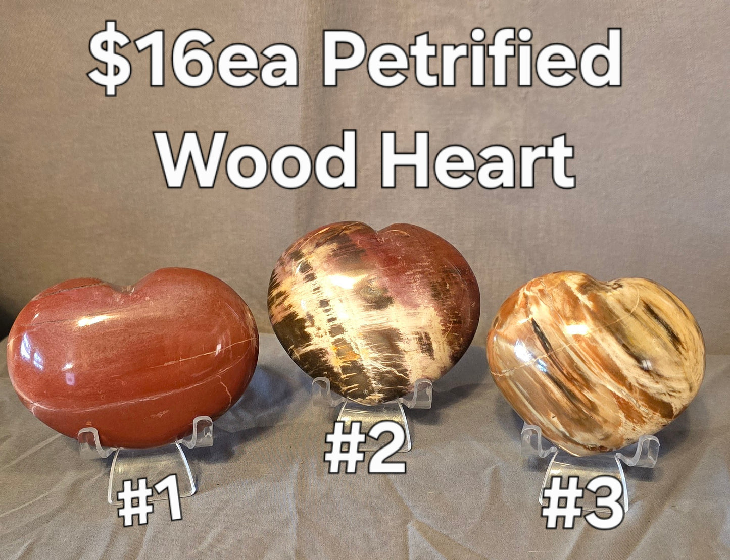 S0350 Petrified Wood Heart