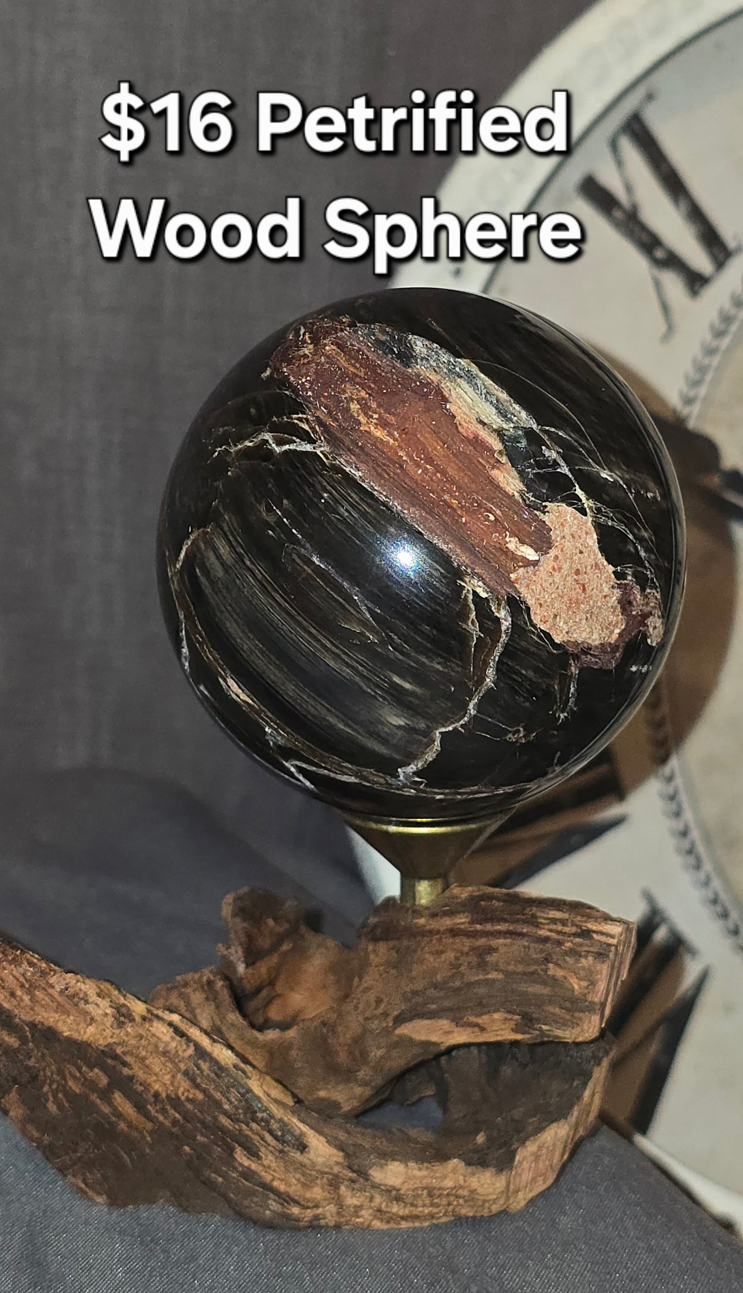 Petrified Wood Sphere