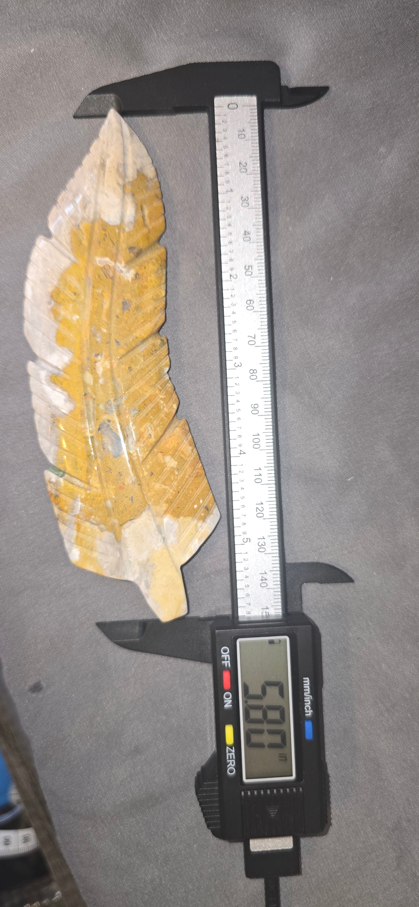 Mexican Crazy Lace Feather