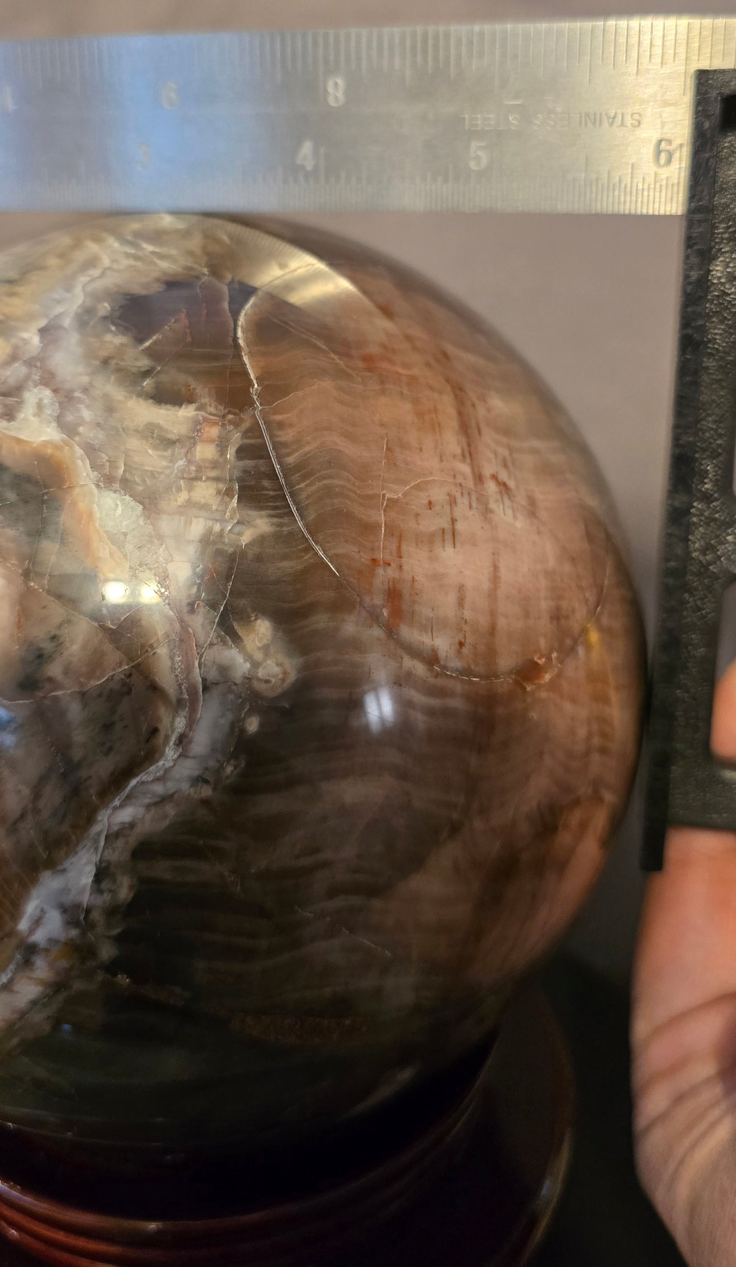S0322 Petrified Wood Sphere