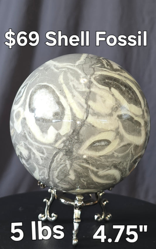 S0473 Shell Fossil Sphere