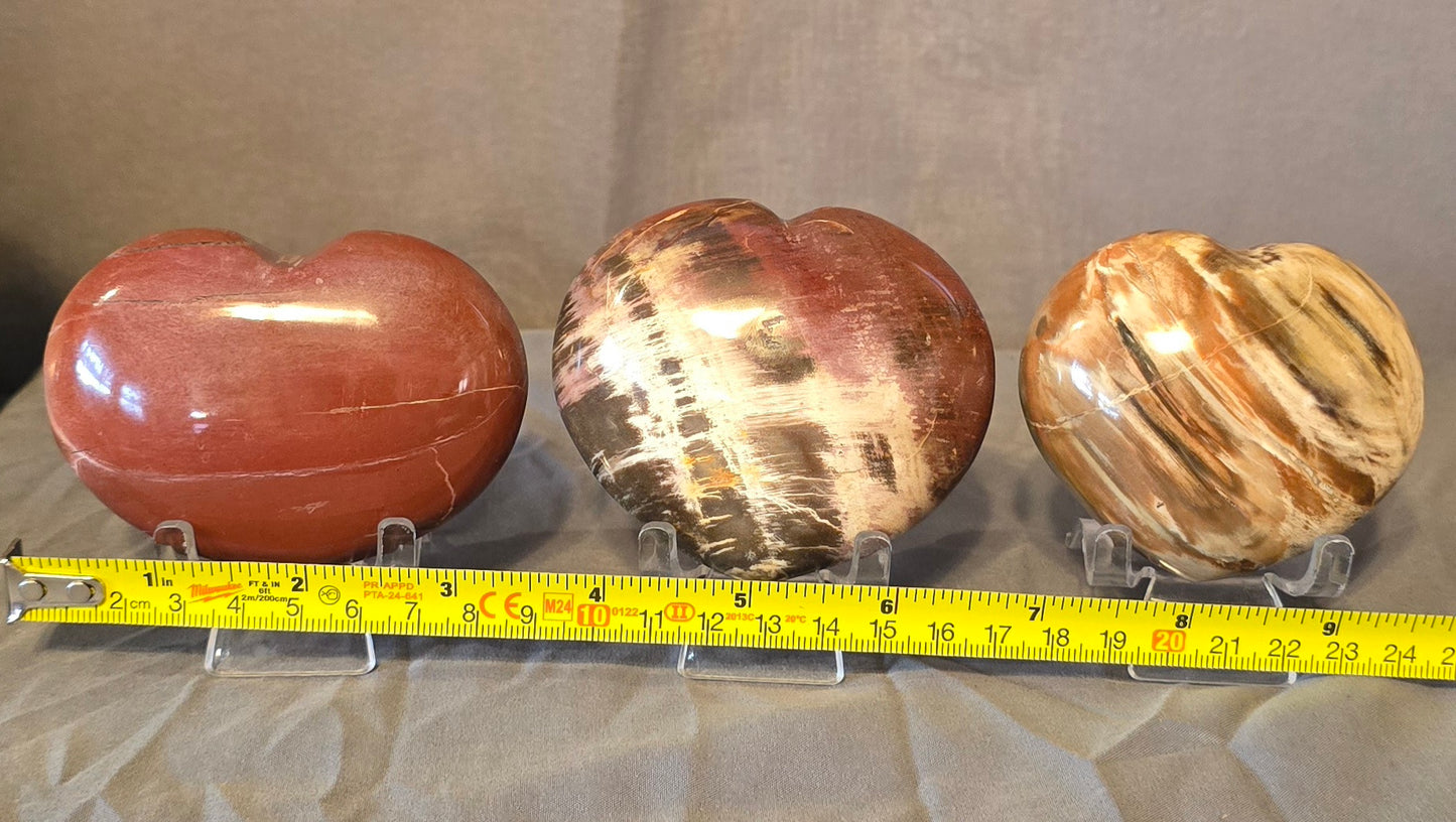S0350 Petrified Wood Heart
