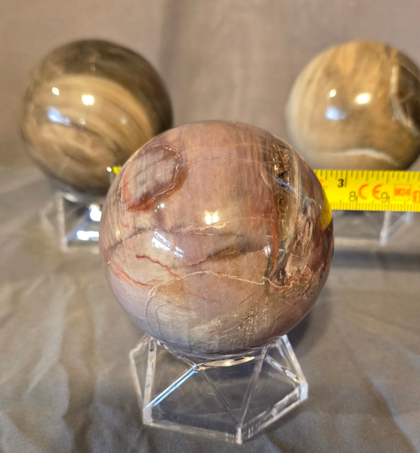 S0355 Petrified Wood Sphere