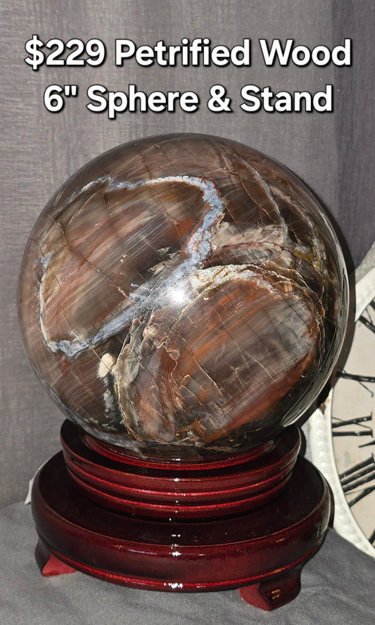 Petrified Wood 6" Sphere