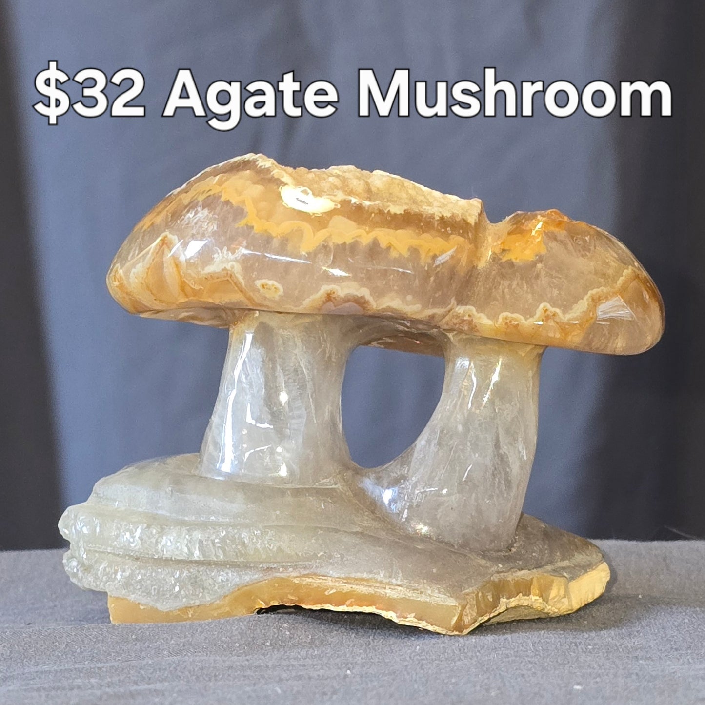 S0448 Agate Mushroom