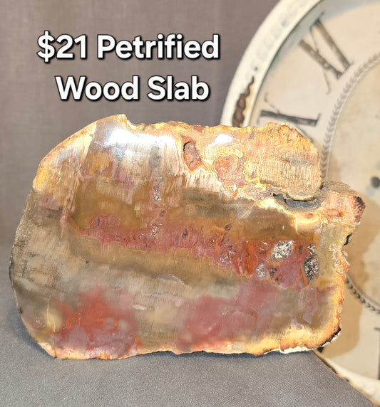 Petrified Wood Slab