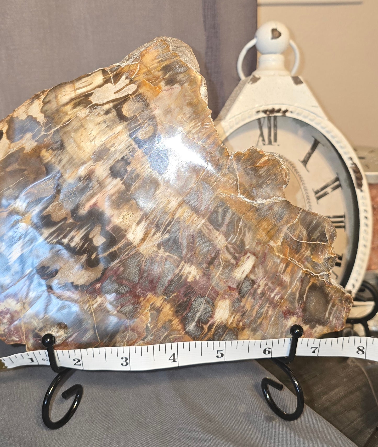 Petrified Wood Slab & Stand