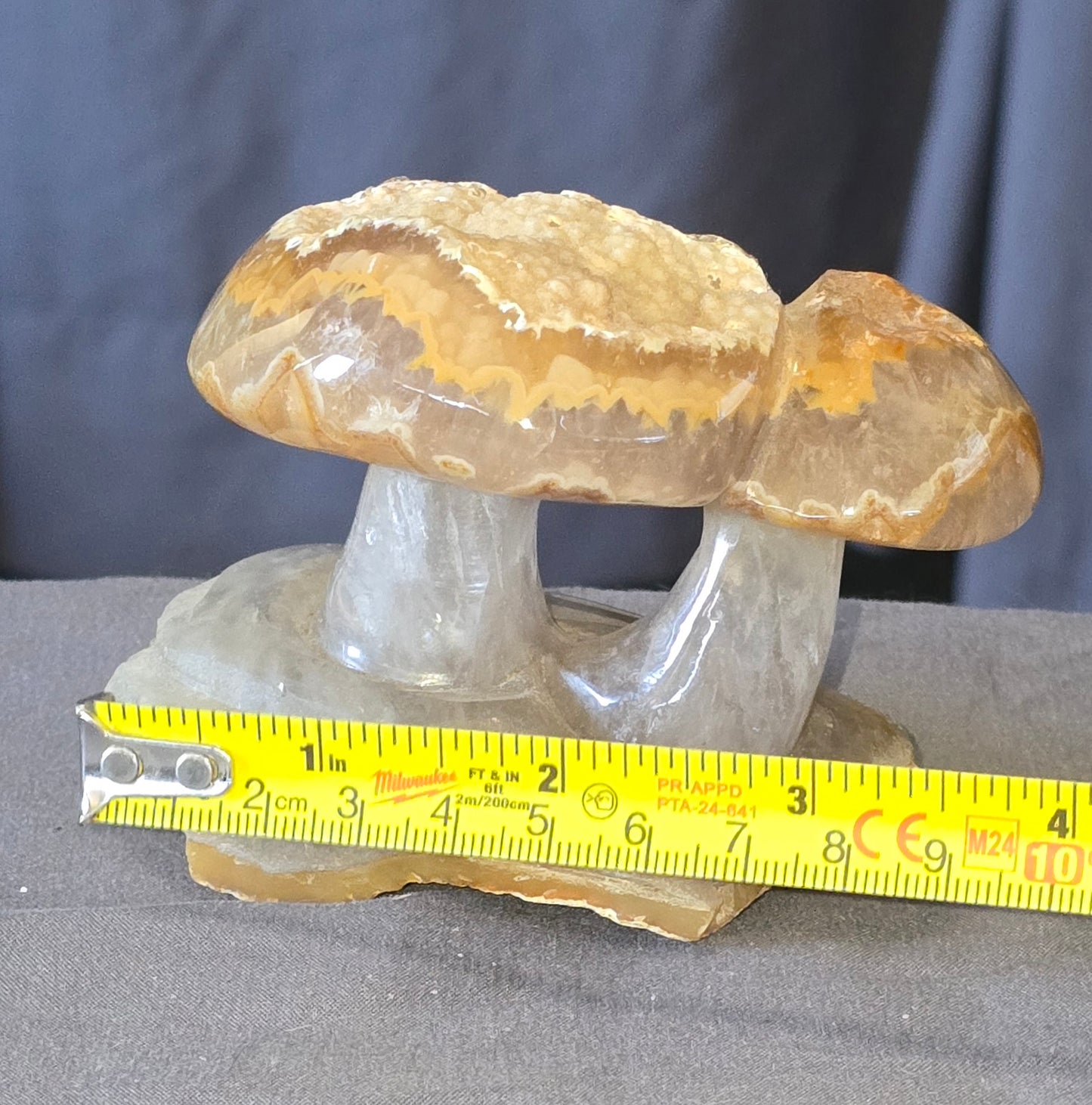 S0448 Agate Mushroom