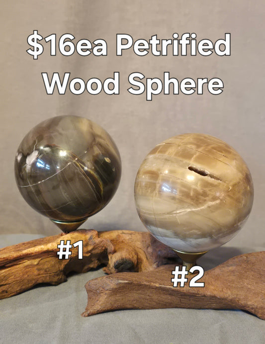 S0356 Petrified Wood Sphere
