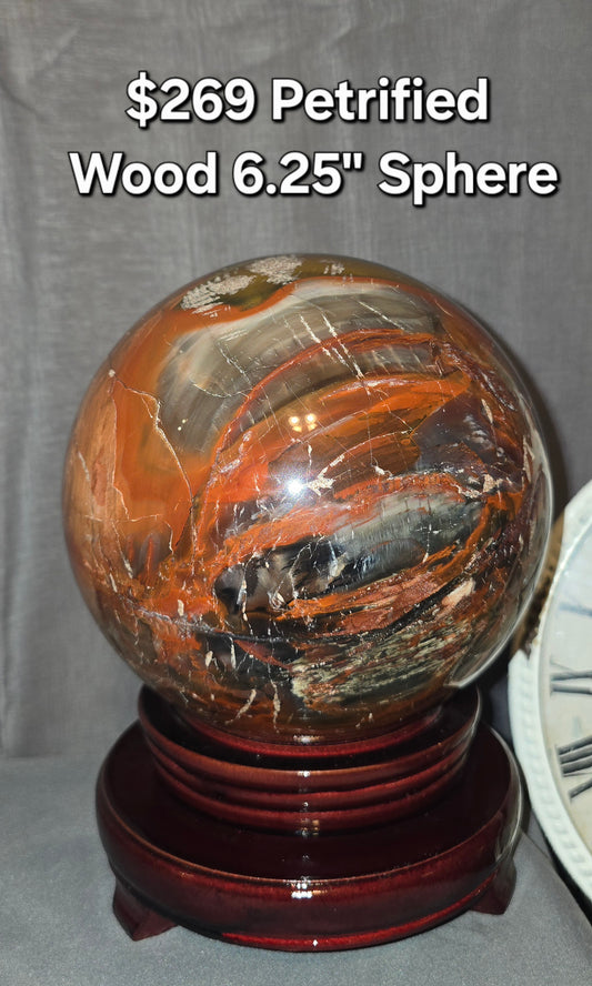 Petrified Wood 6.25" Sphere