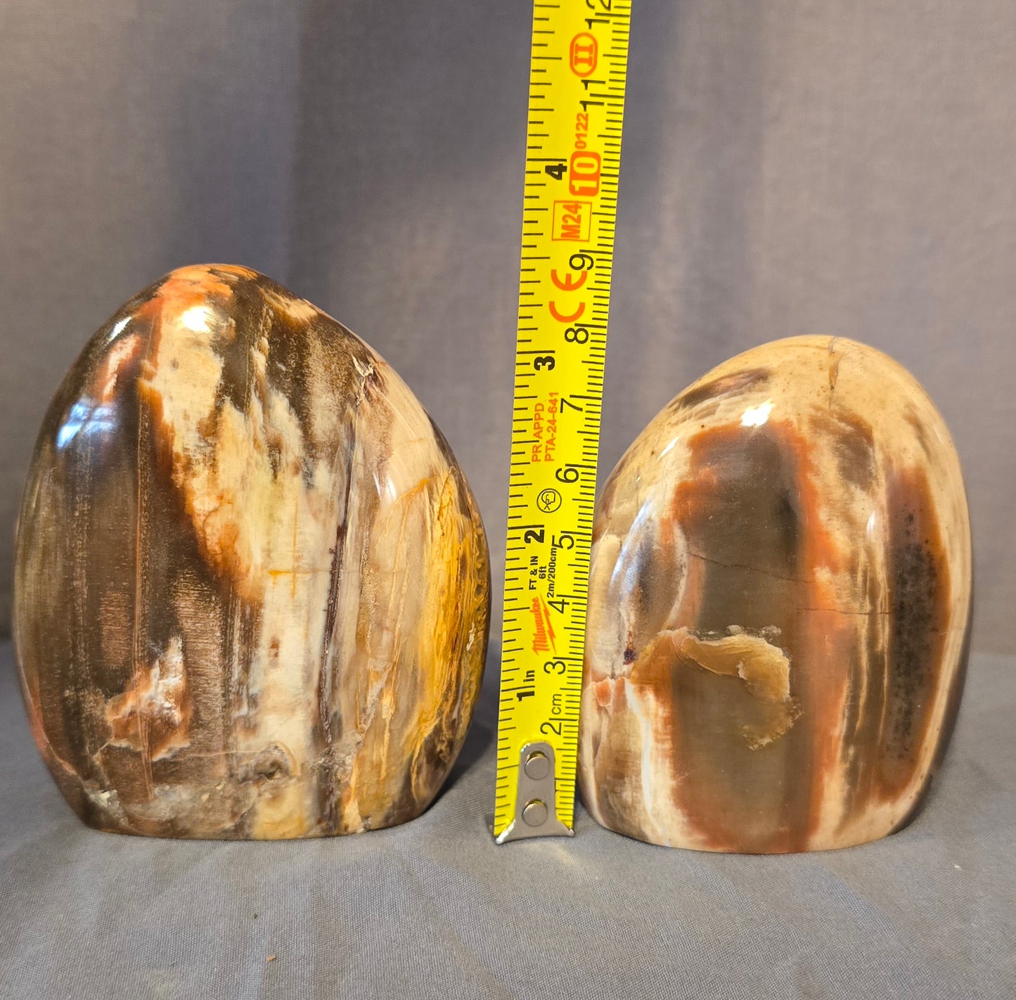 S0347 Petrified Wood Freeform