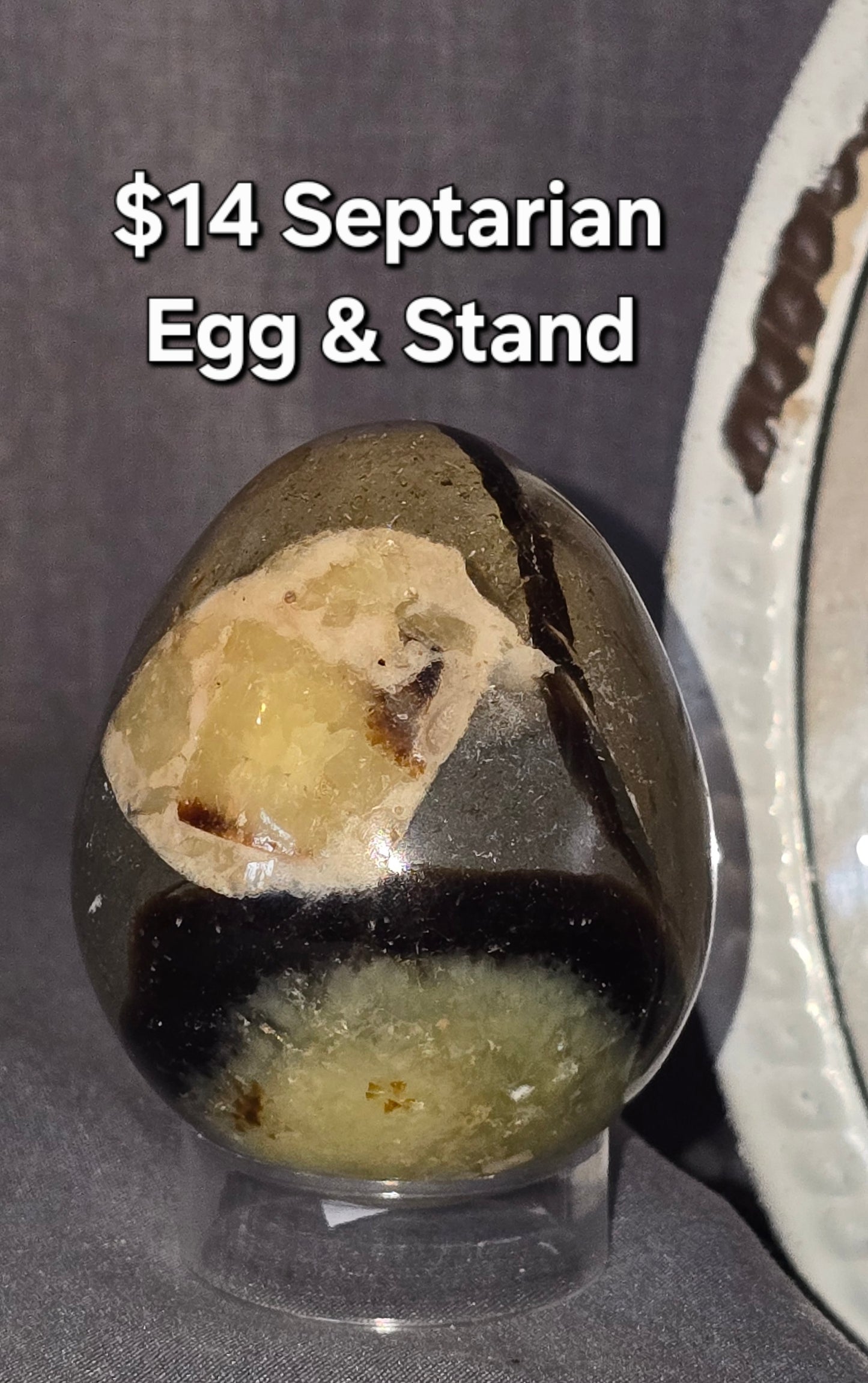 Septarian Egg &Stand
