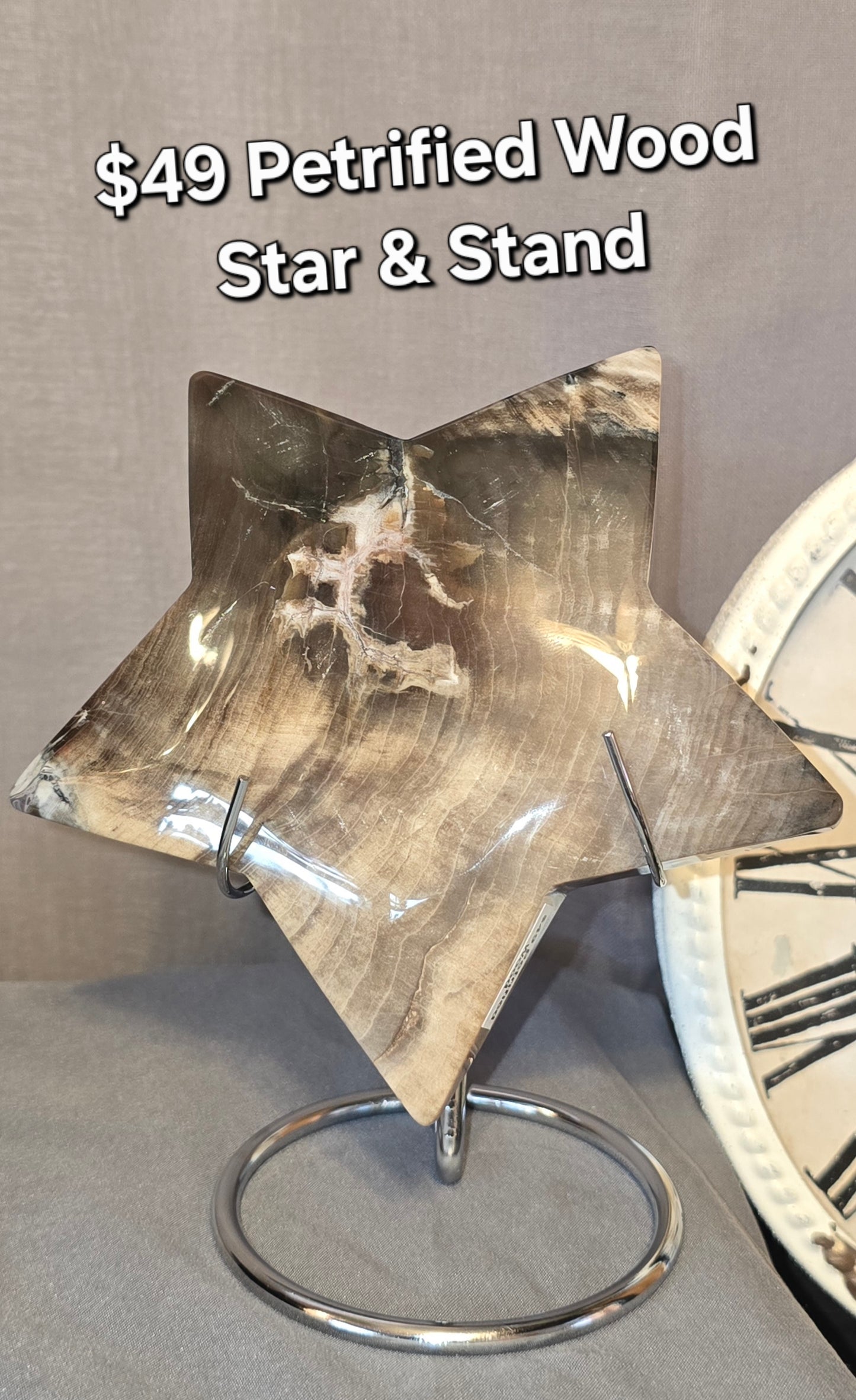 Petrified Wood Star & Stand