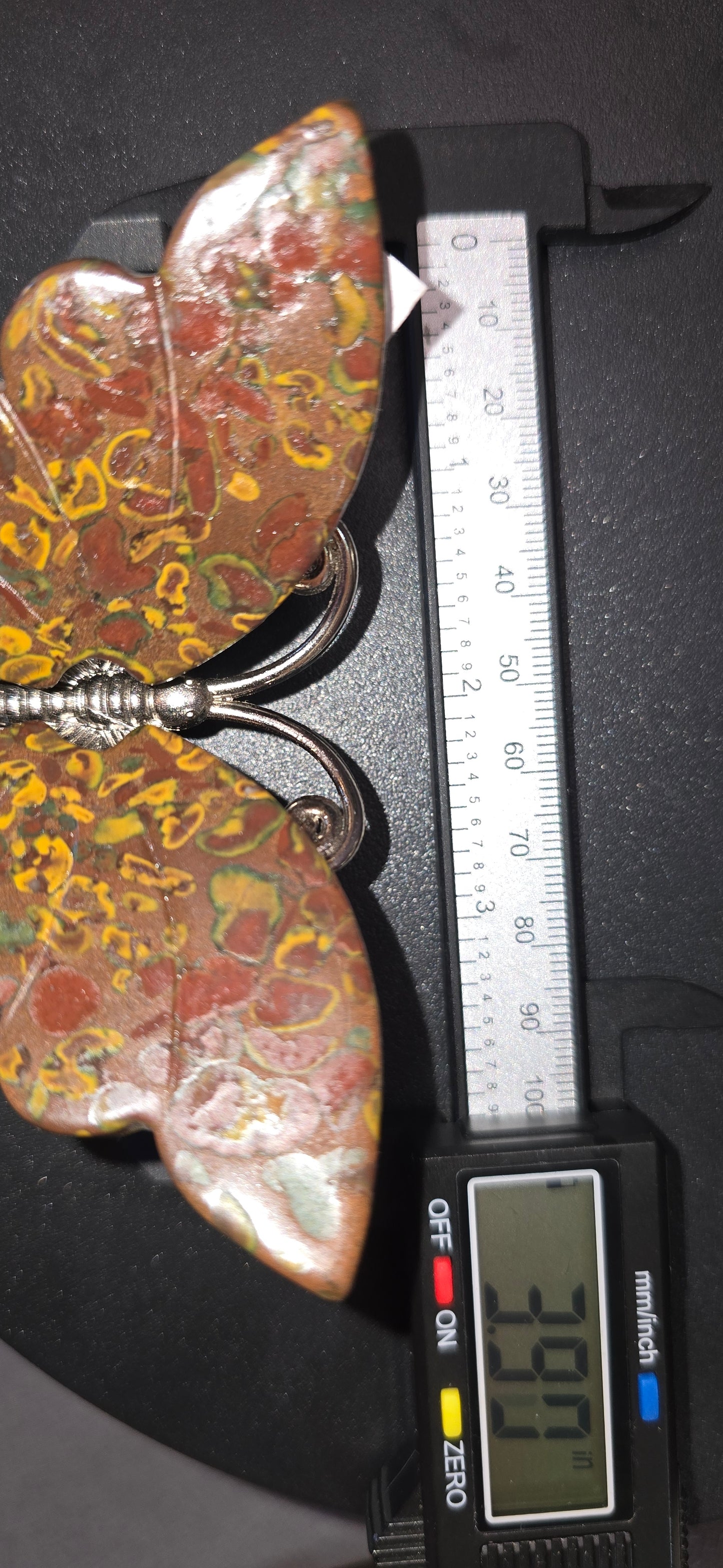 Fruit Jasper Butterfly