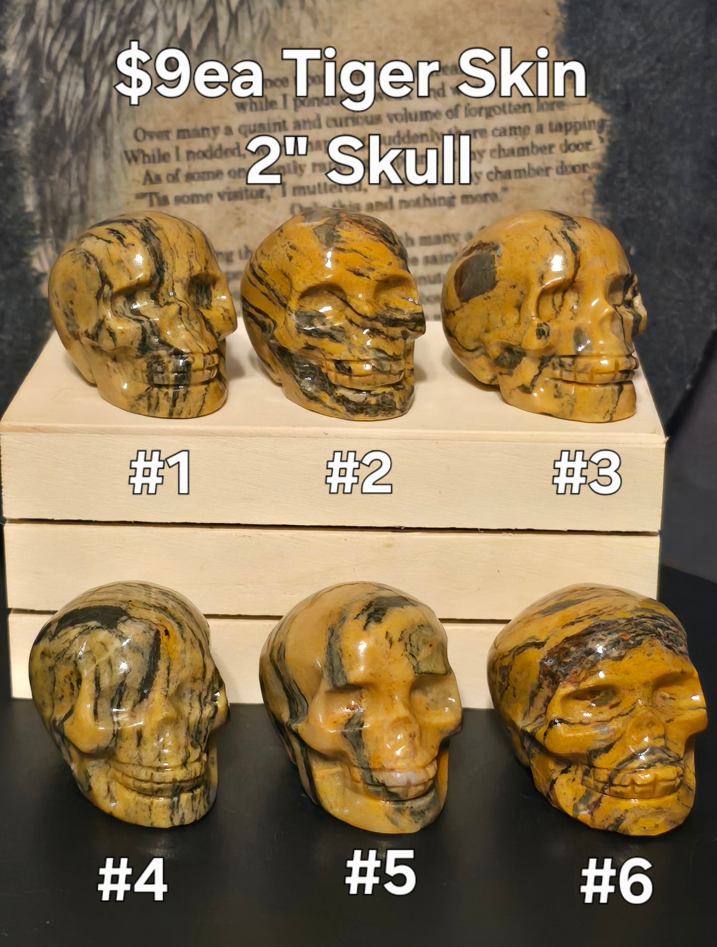 S0229 Tiger Skin Skull