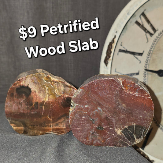 Petrified Wood Slab