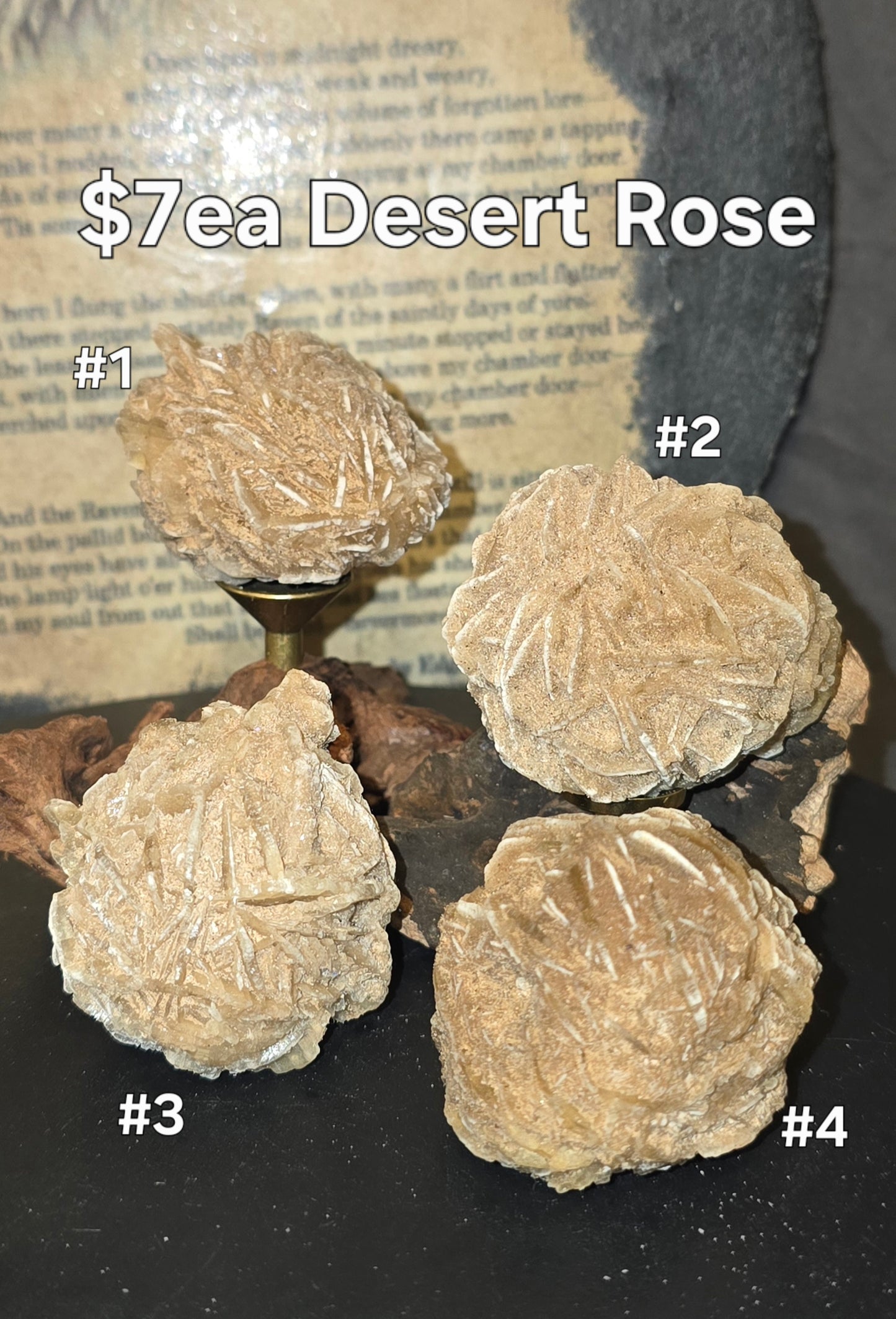 S0224 Desert Rose
