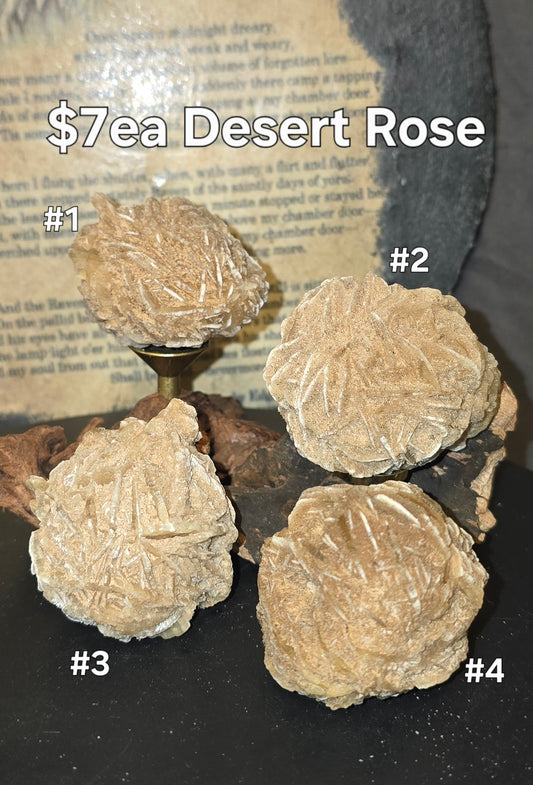 S0224 Desert Rose