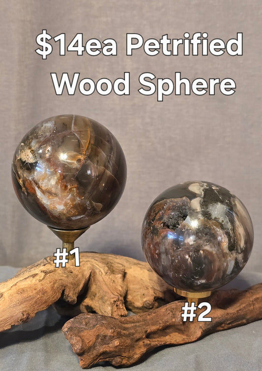 S0357 Petrified Wood Sphere