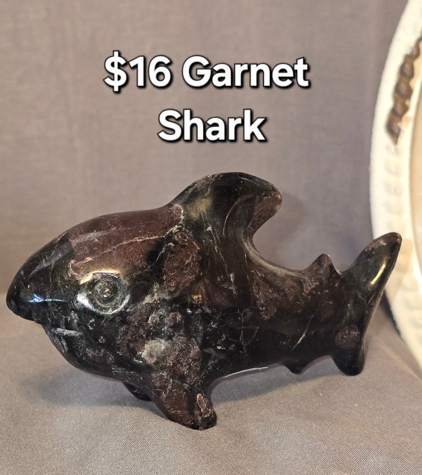 Garnet Shark