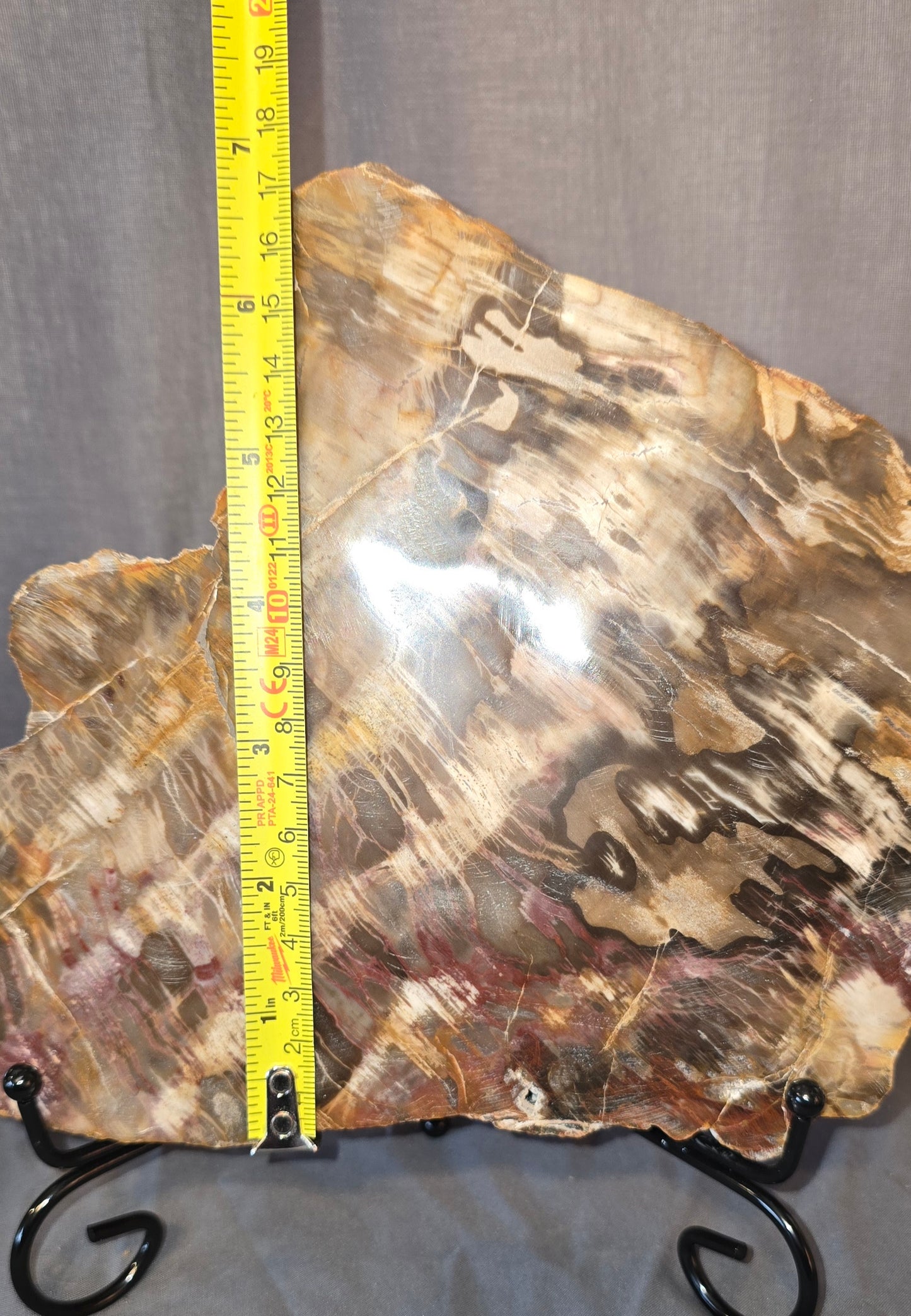 S0239 Petrified Wood Slab
