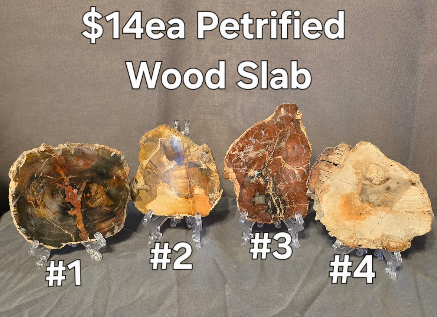 S0358 Petrified Wood Slab