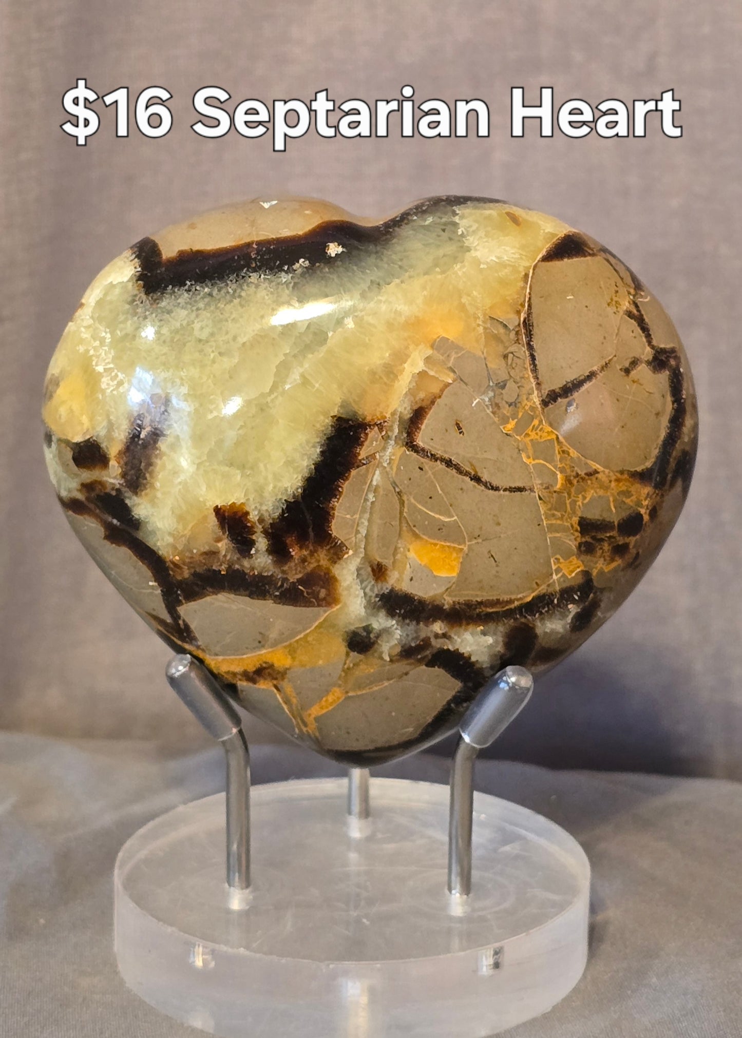 S0365 Septarian Heart