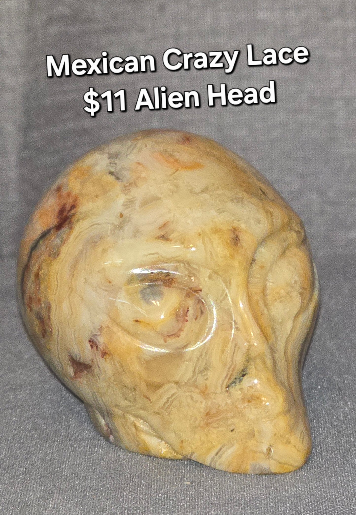 Mexican Crazy Lace Alien Head