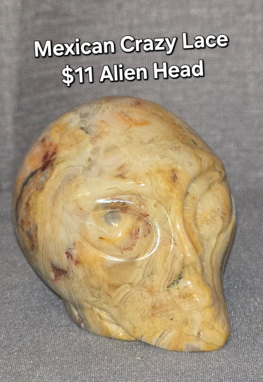 Mexican Crazy Lace Alien Head