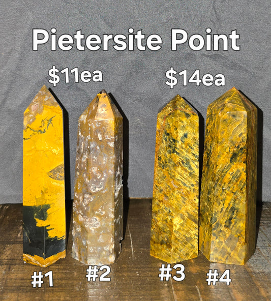 S0307 Pietersite Point