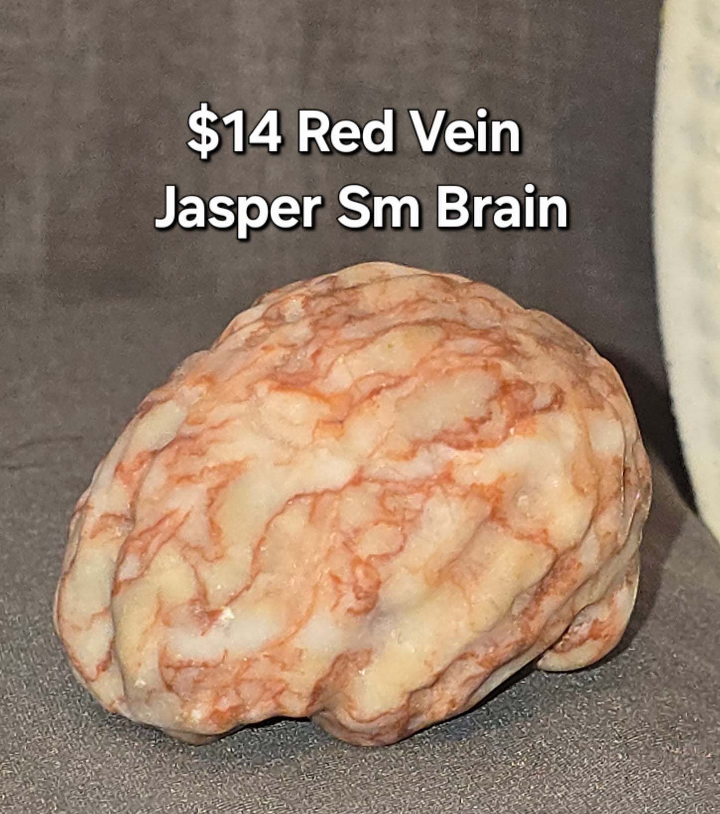 Red Vein Jasper Sm Brain