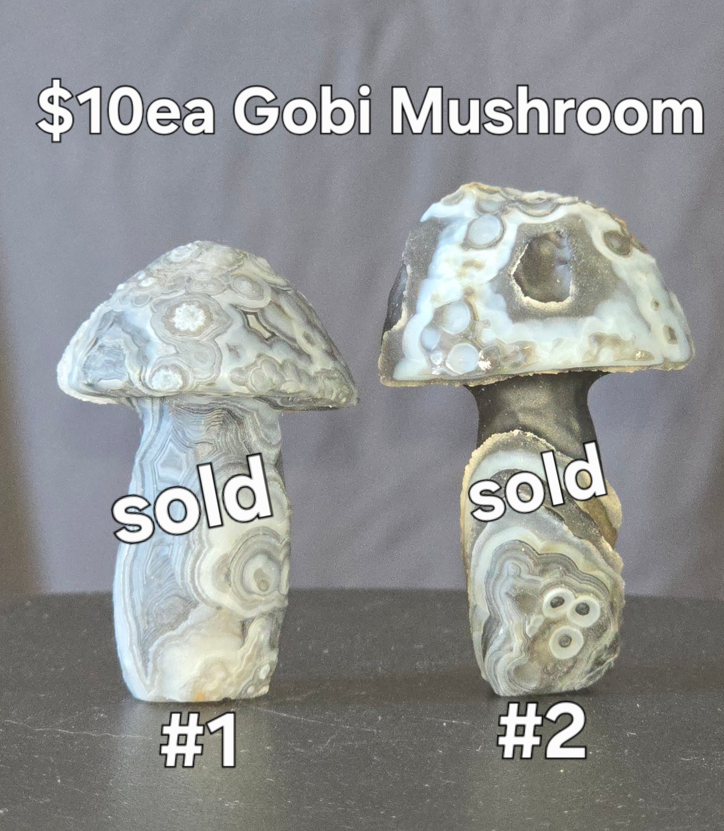 S0436 Gobi Agate Mushroom