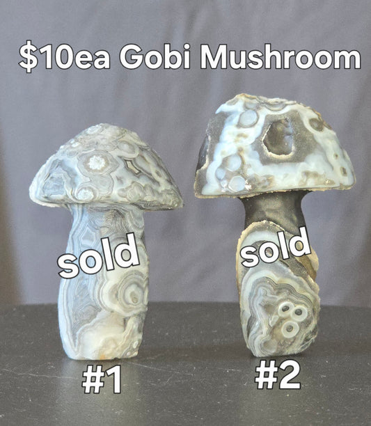 S0436 Gobi Agate Mushroom