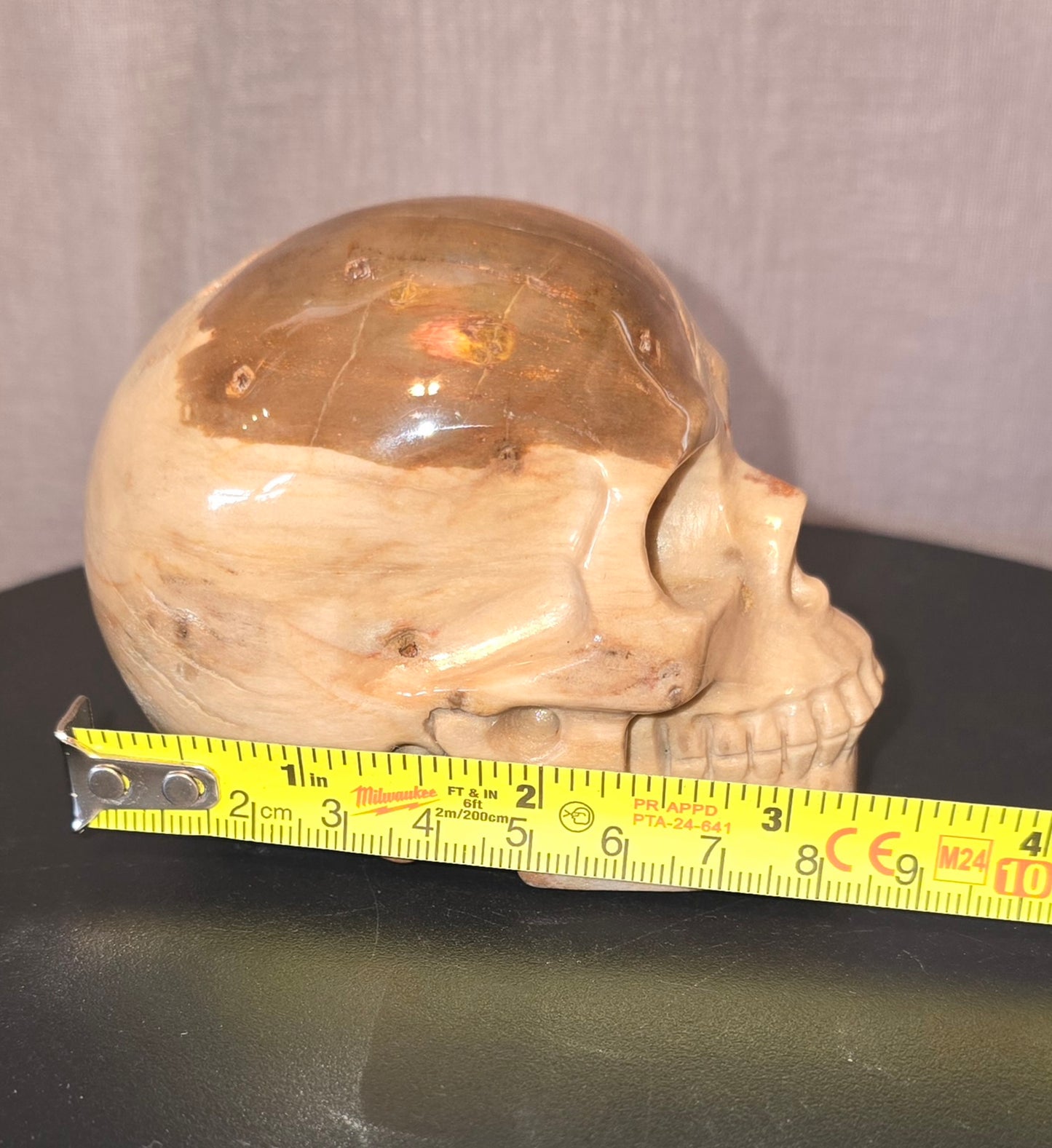 S0238 Petrified Wood Skull