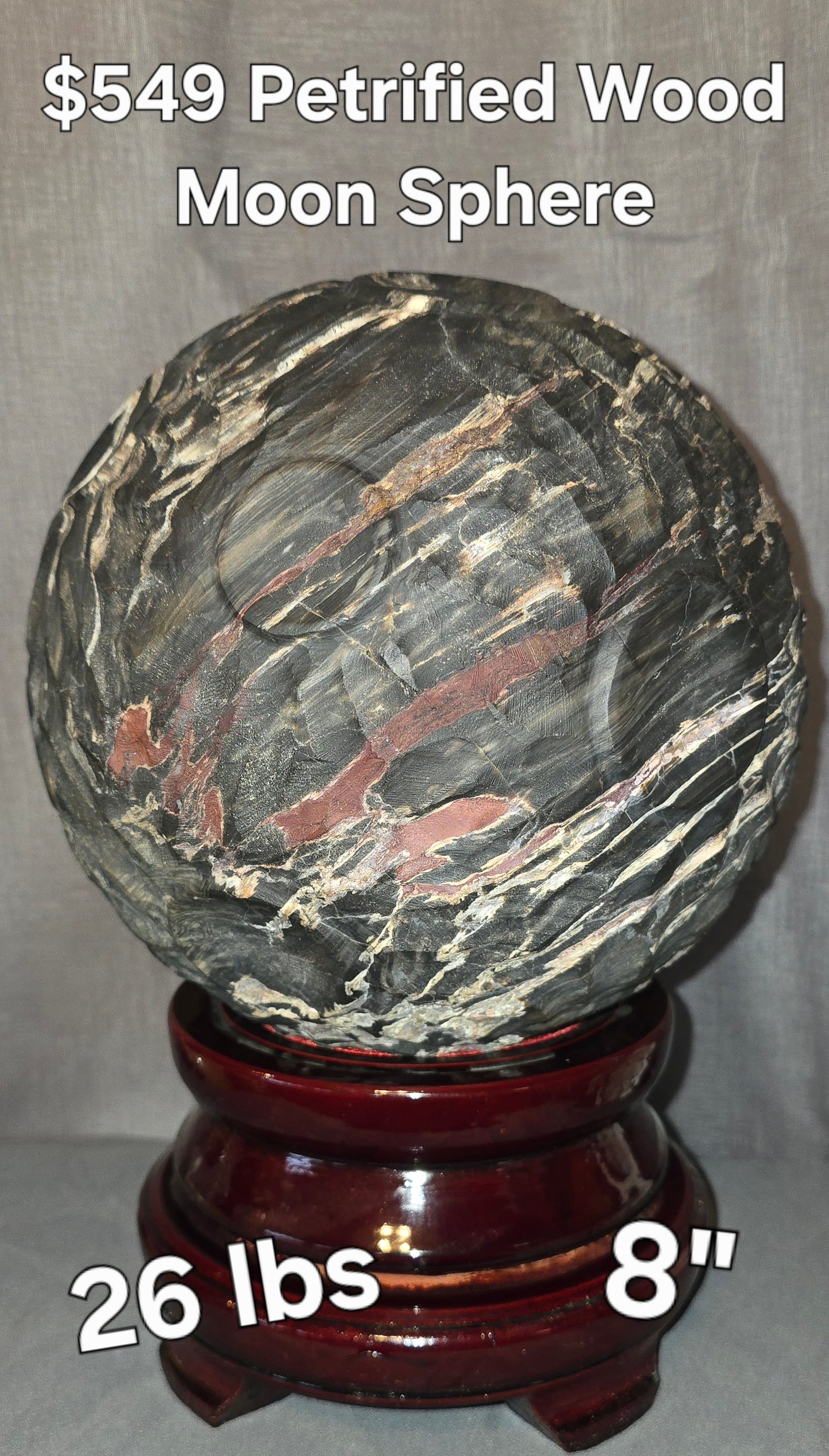 S0316 Petrified Wood Moon Sphere