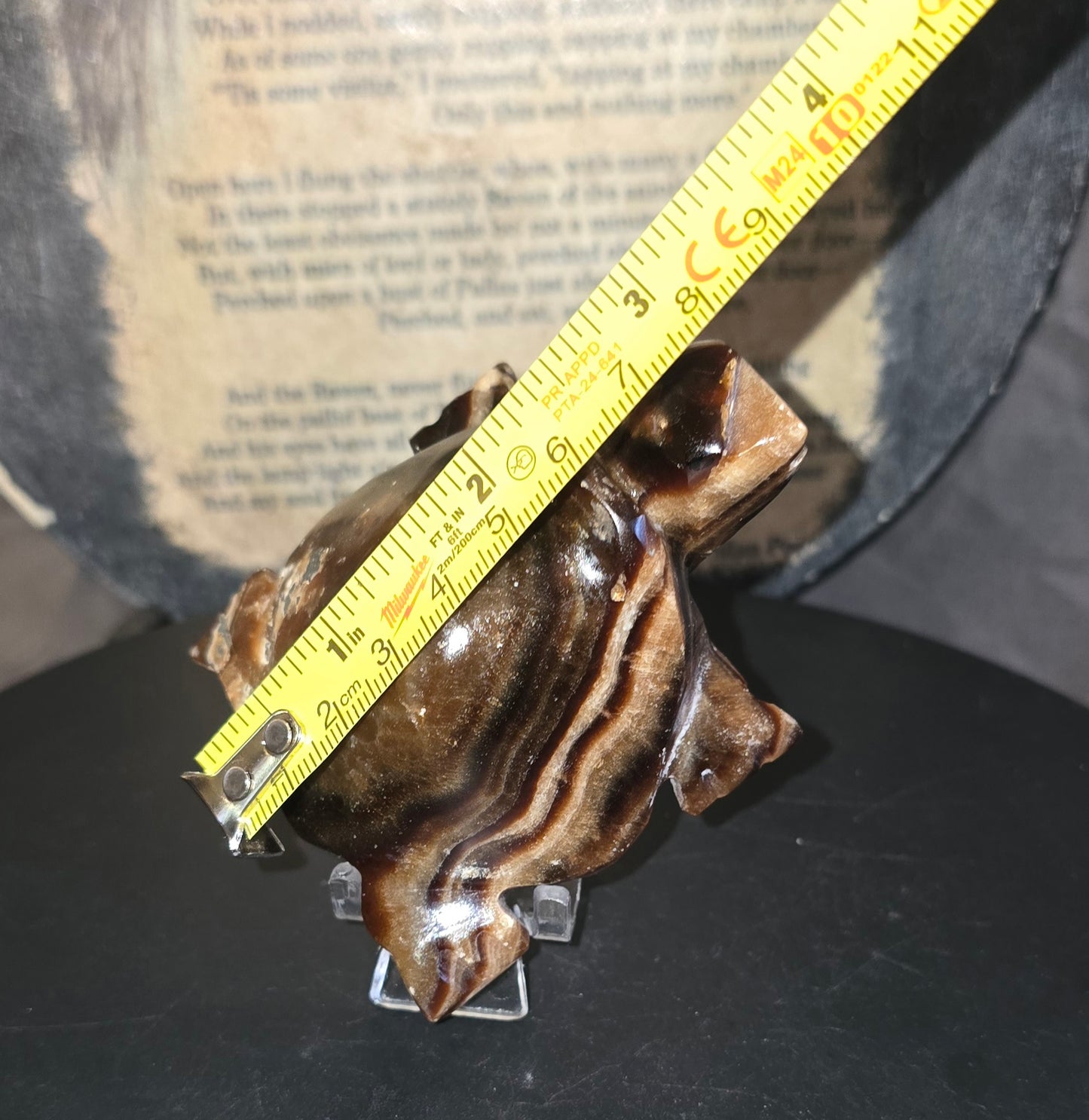 S0215 Chocolate Calcite Turtle