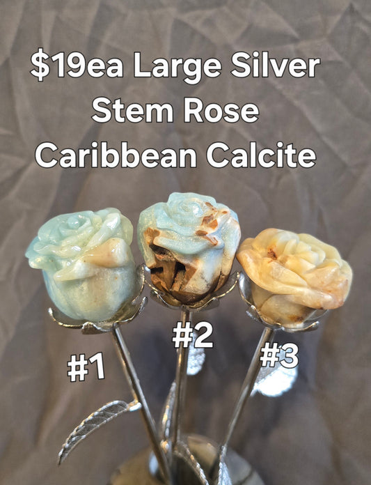 S0313 Large Silver Stem Rose