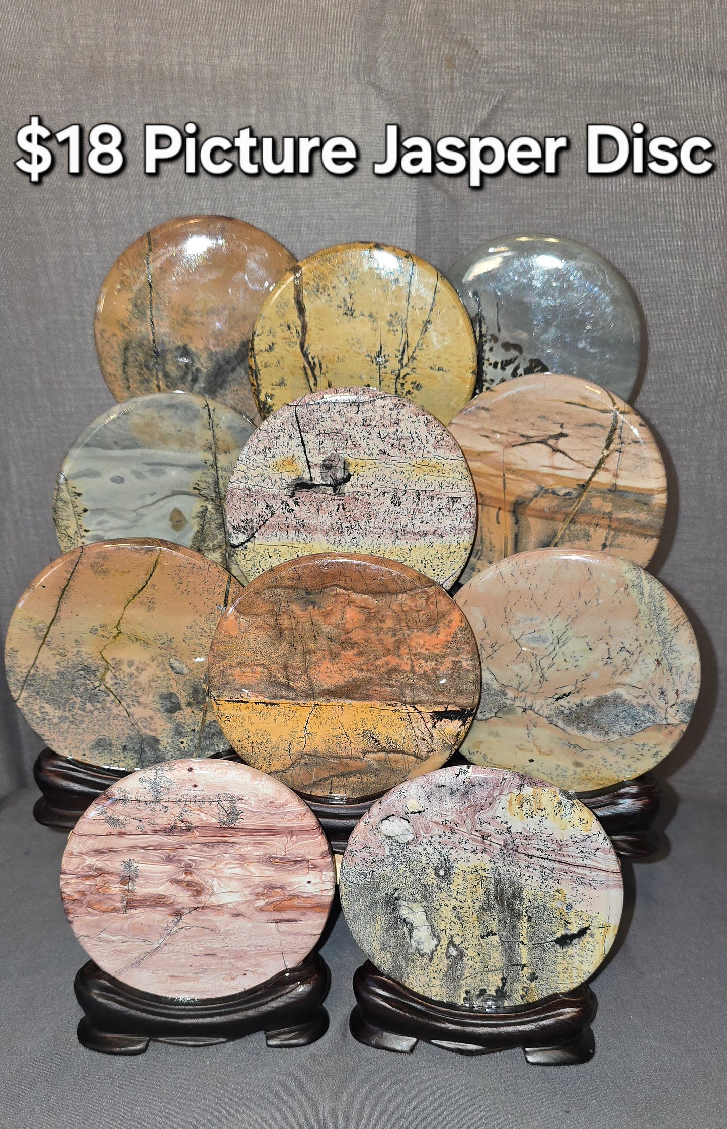 Picture Jasper Disc