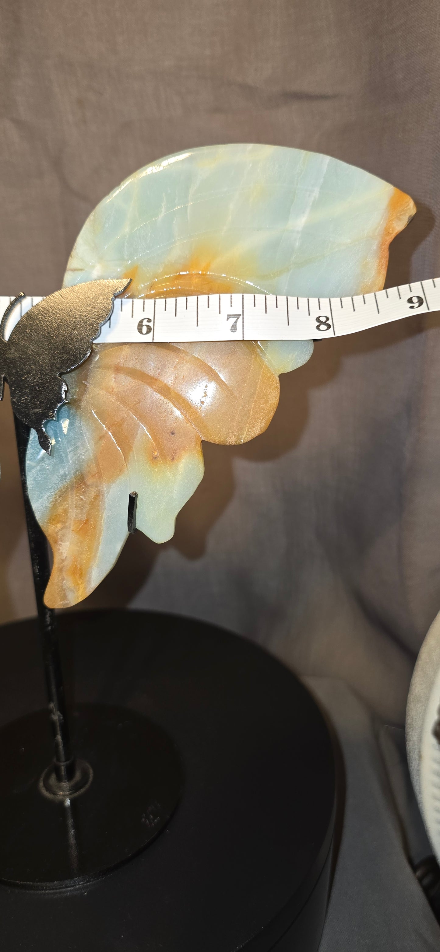 Caribbean Calcite GIANT Butterfly